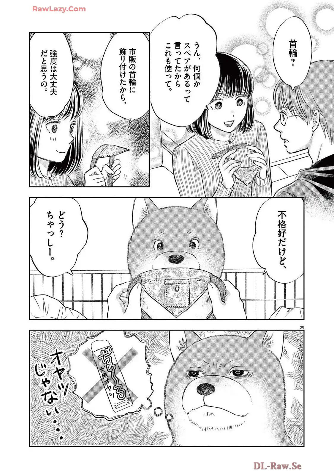 P29