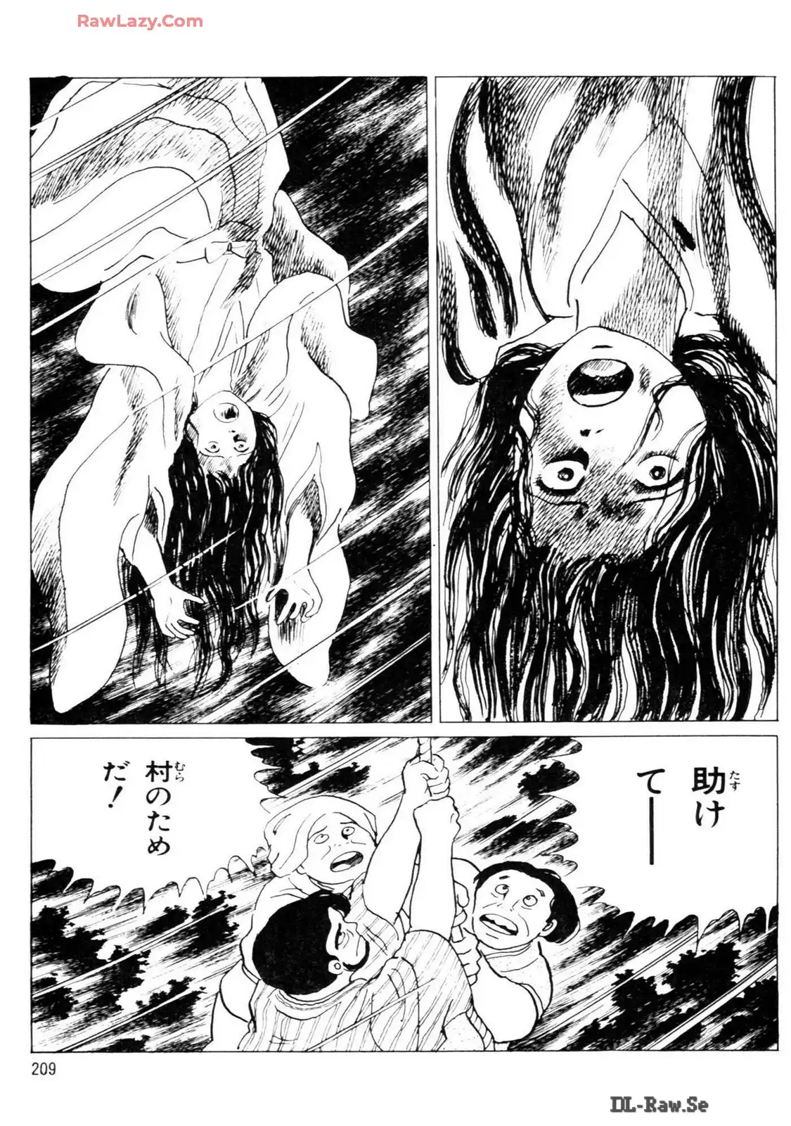 P53