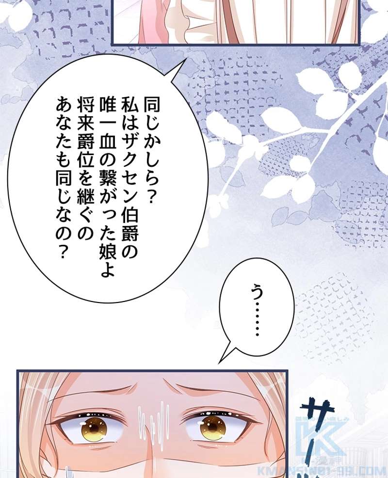 P61