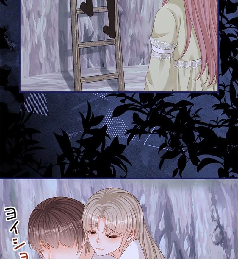 P53