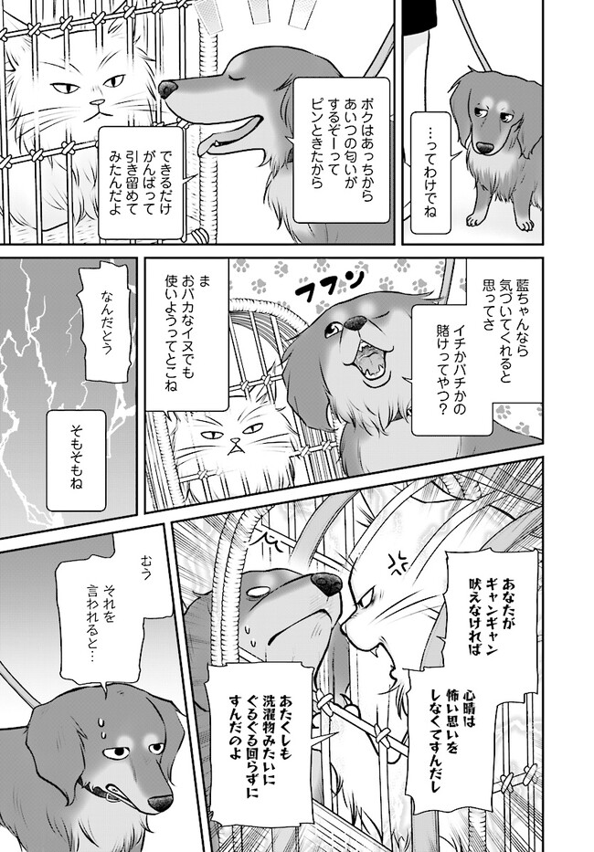 P11