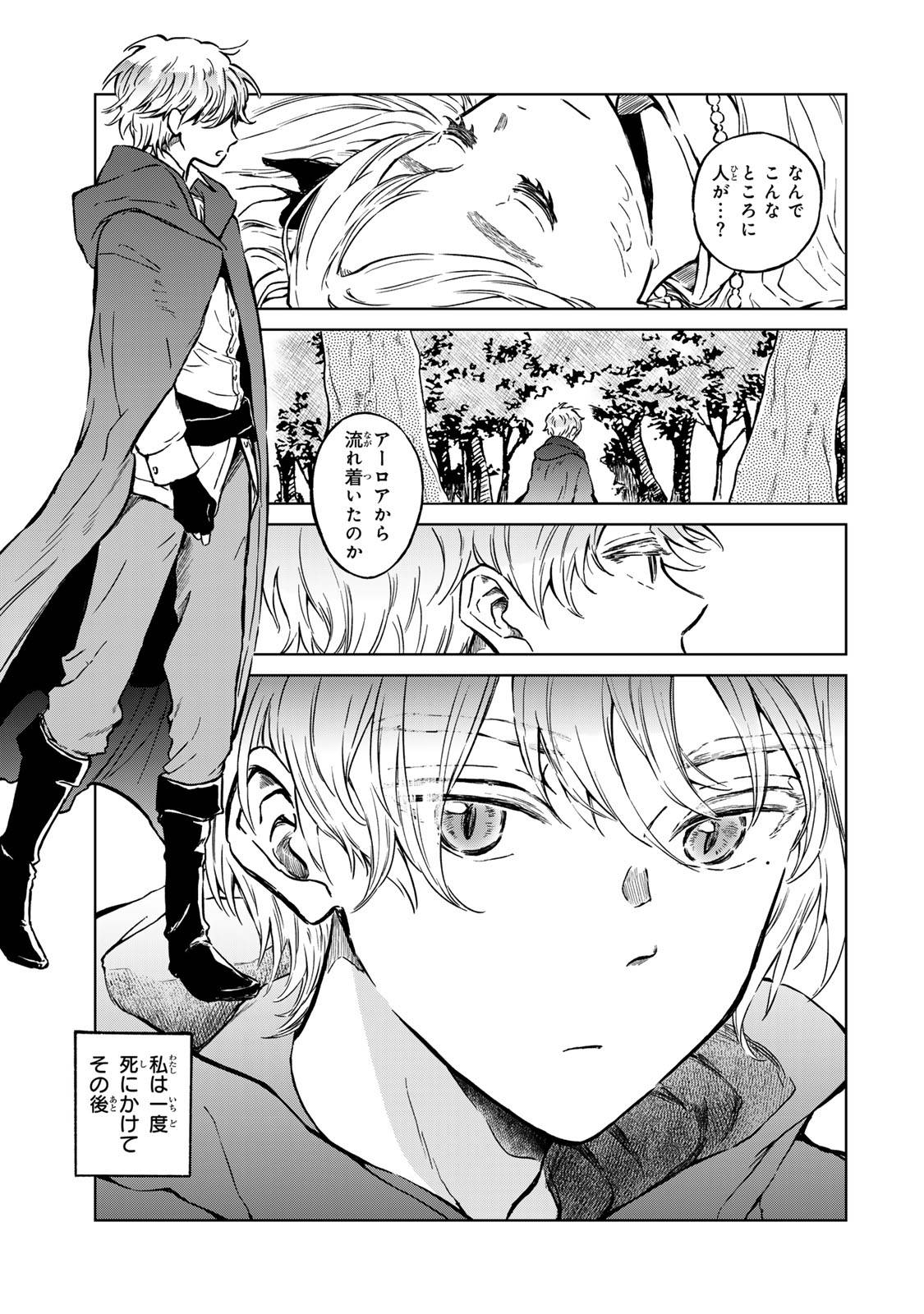 P63