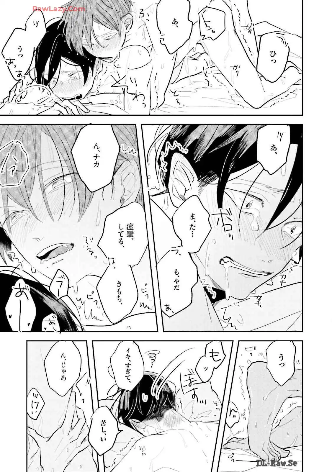 P41