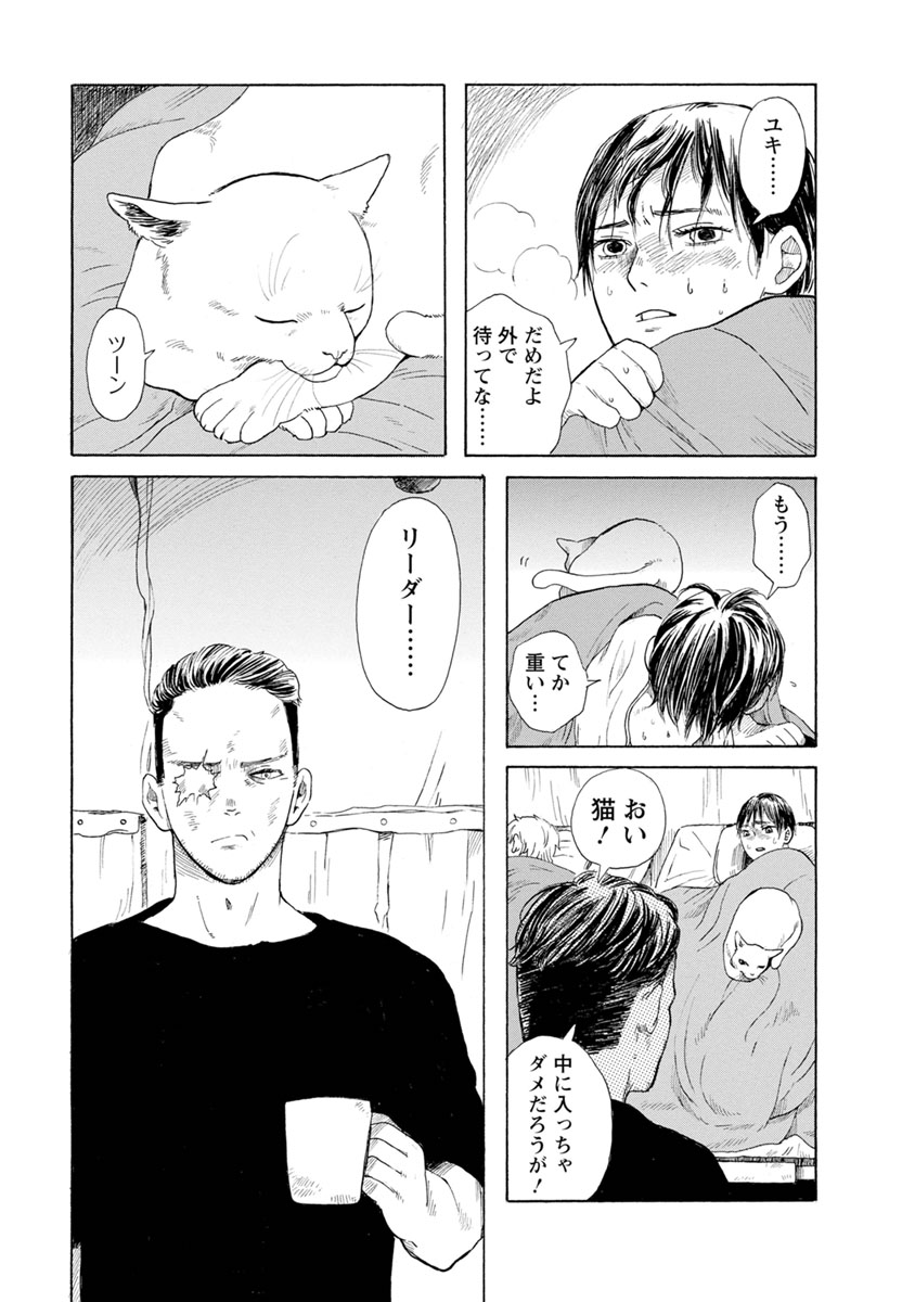 P3
