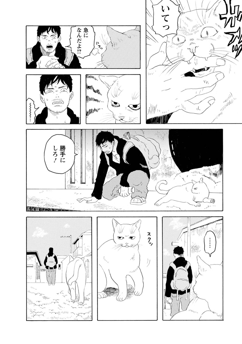 P4