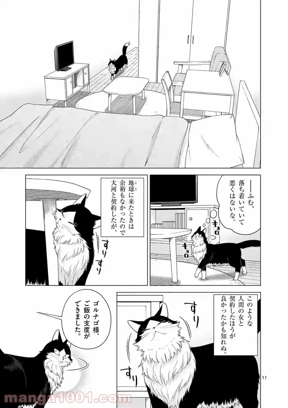 P11