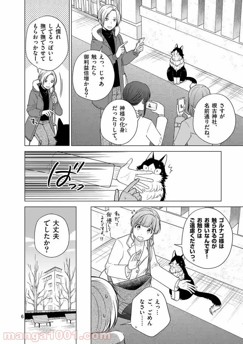 P6