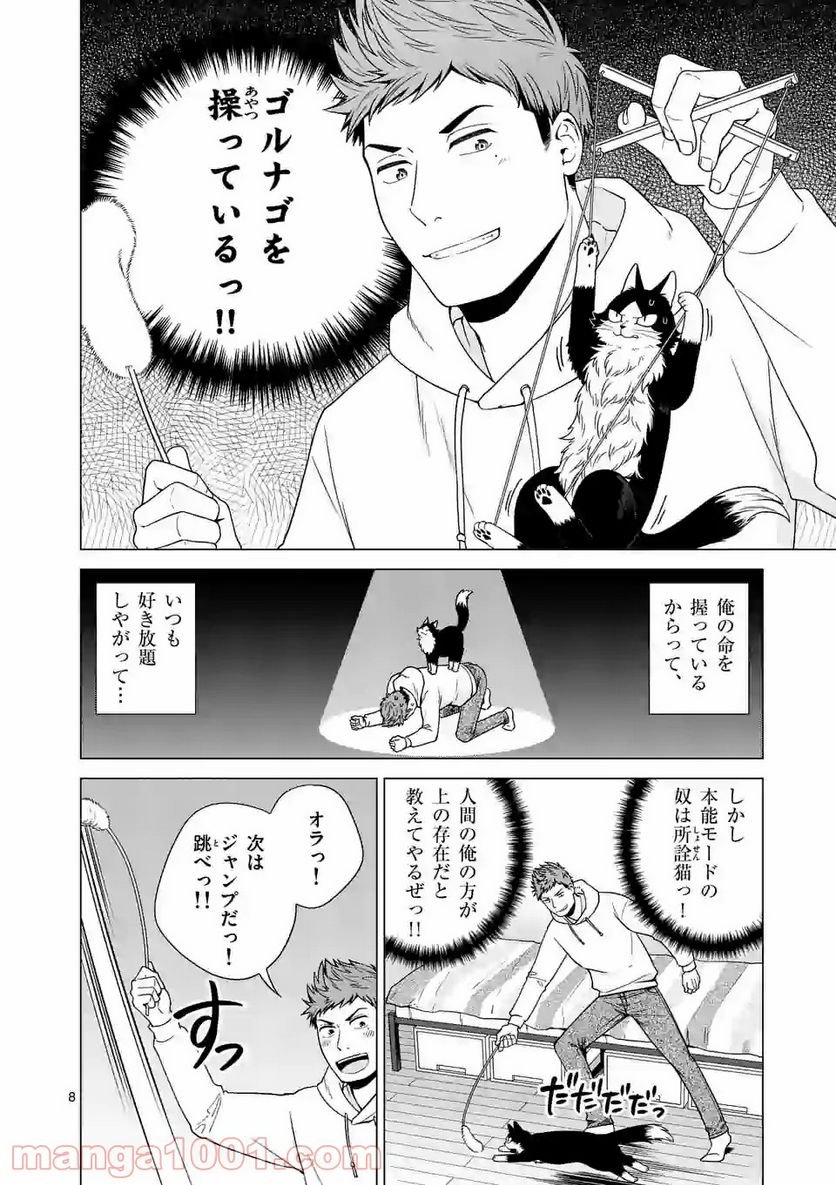 P8