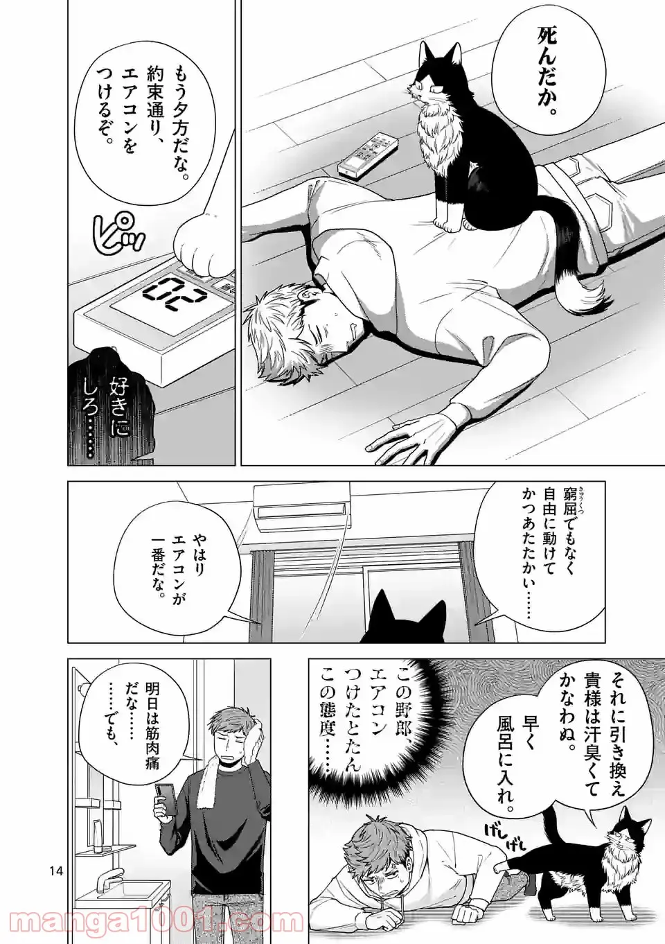 P11