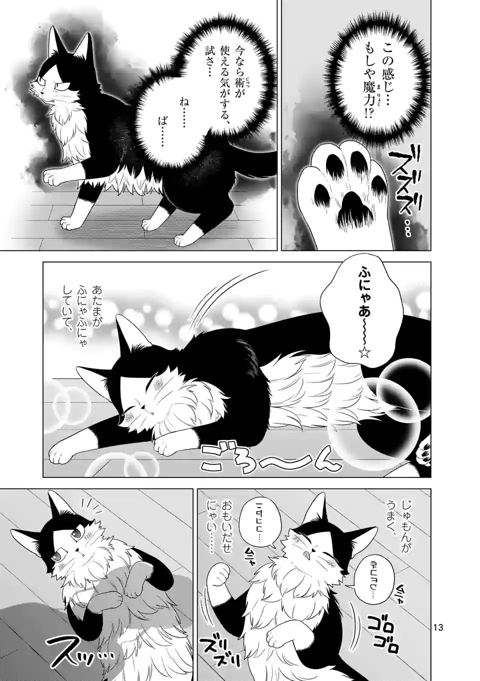 P13