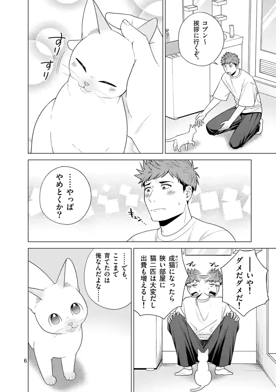 P6