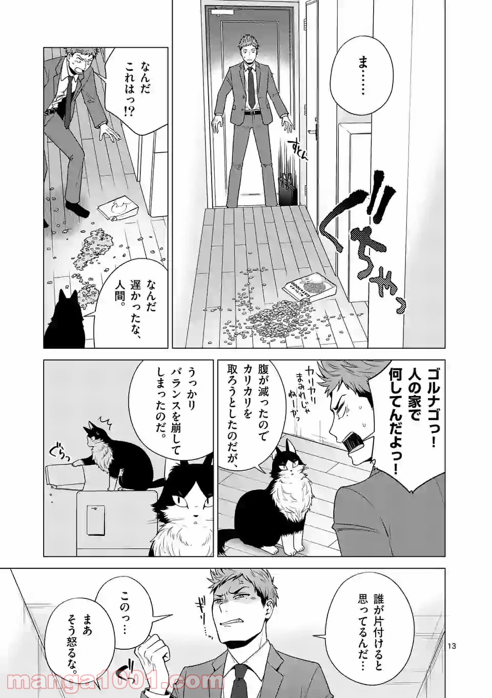 P13