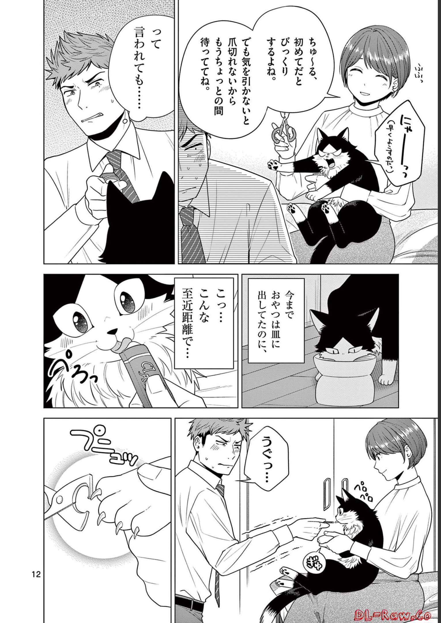 P12