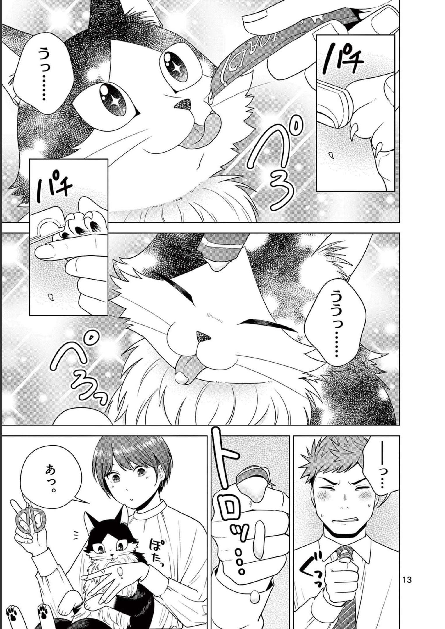 P13