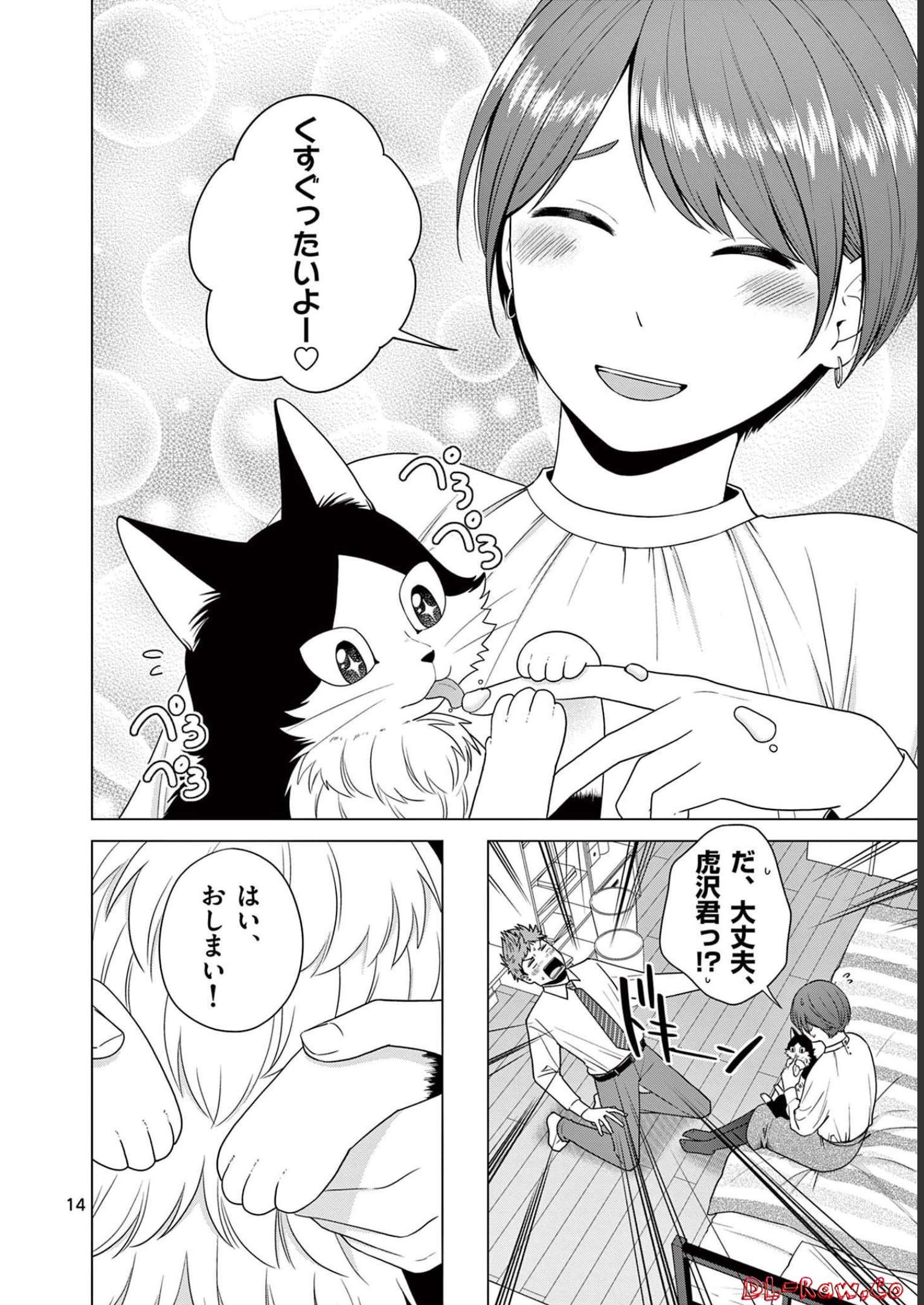 P14