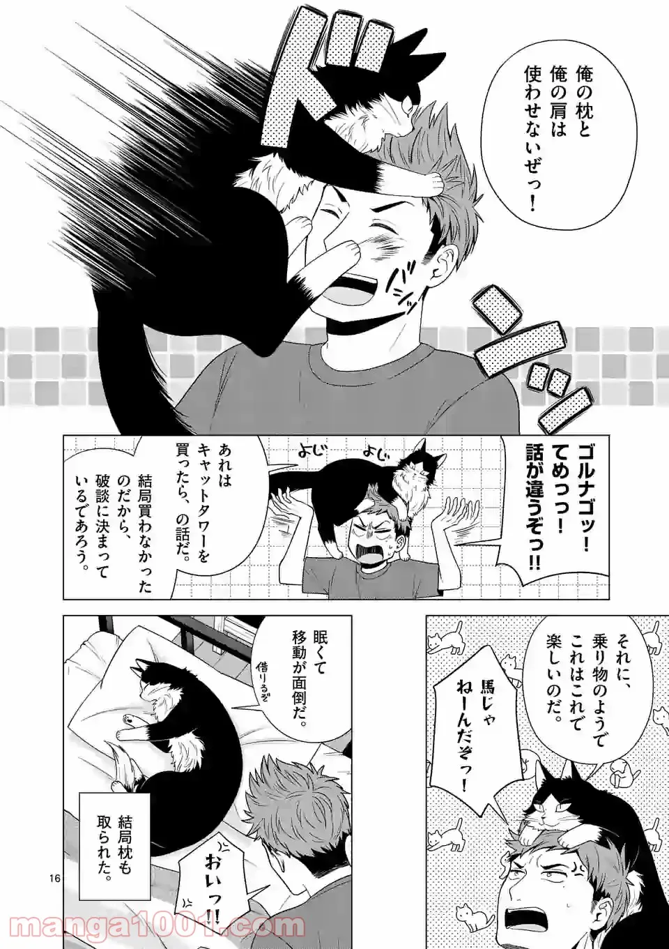 P16