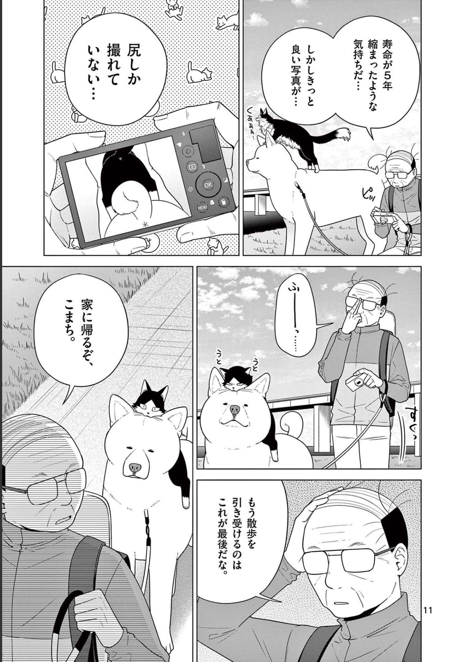 P11