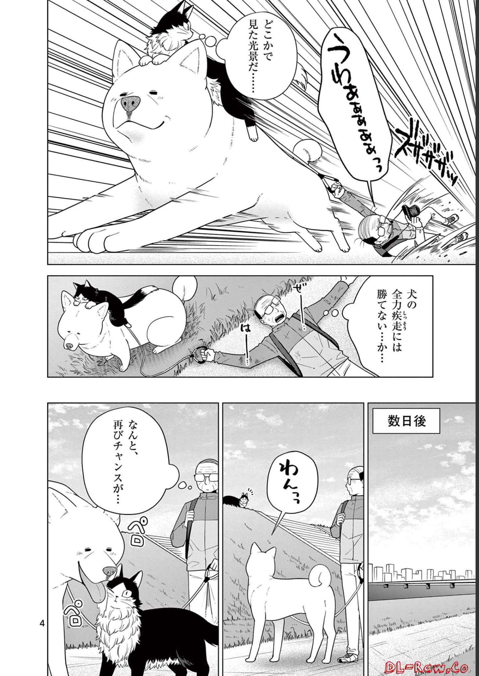 P4
