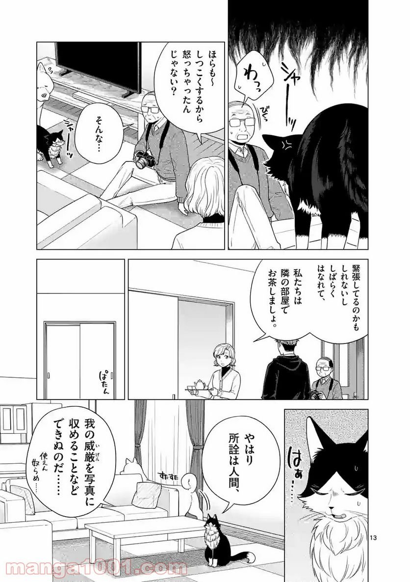 P13