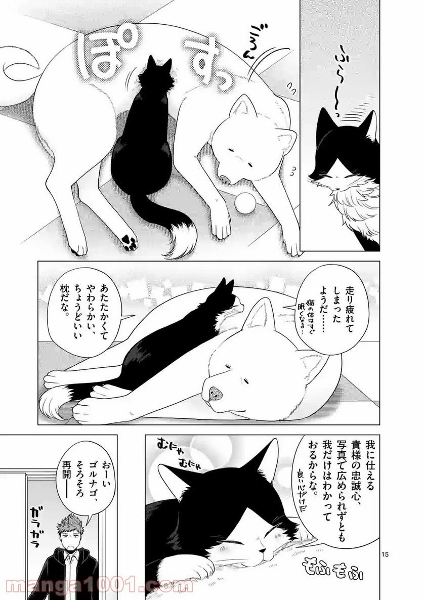 P15