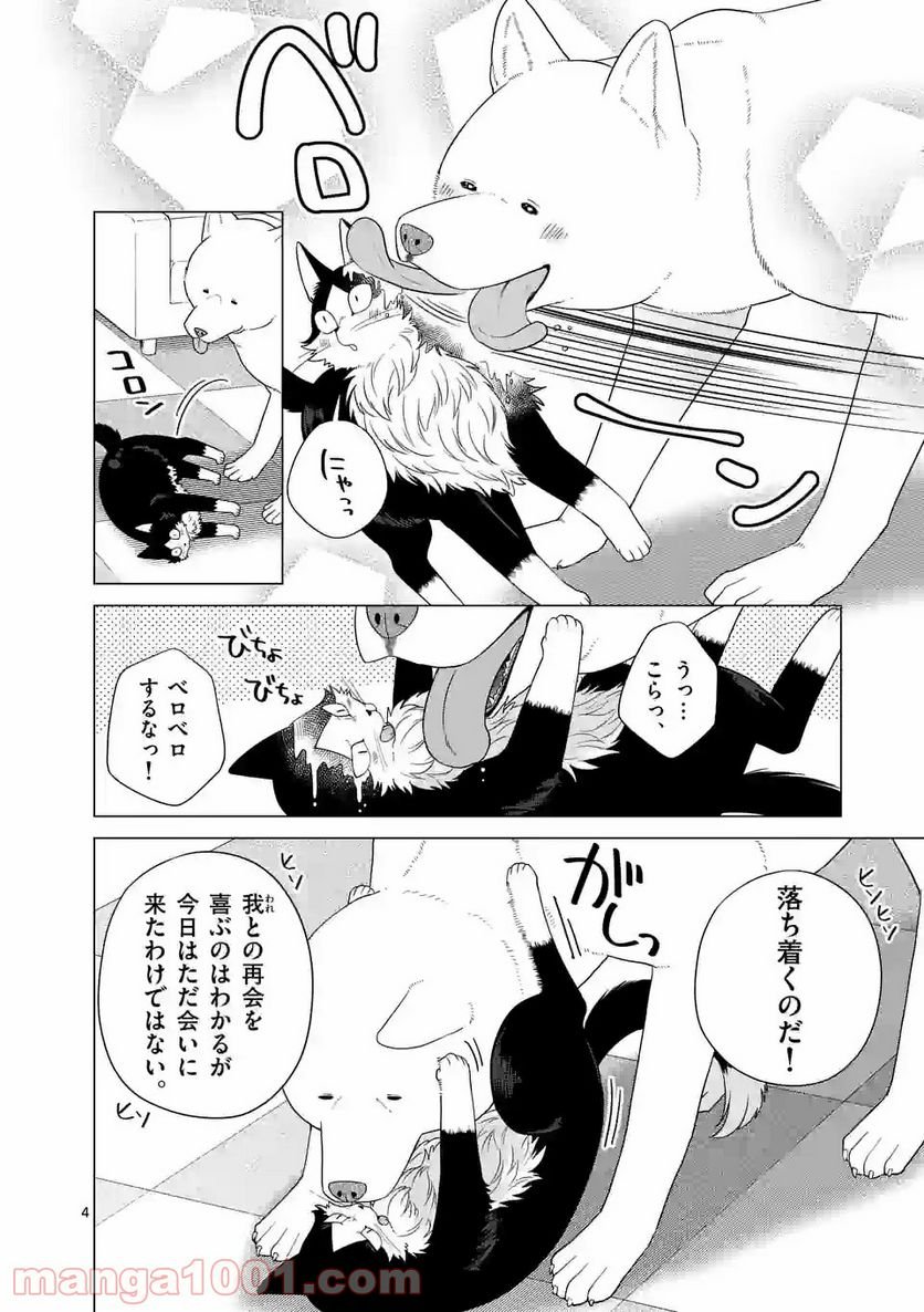 P4