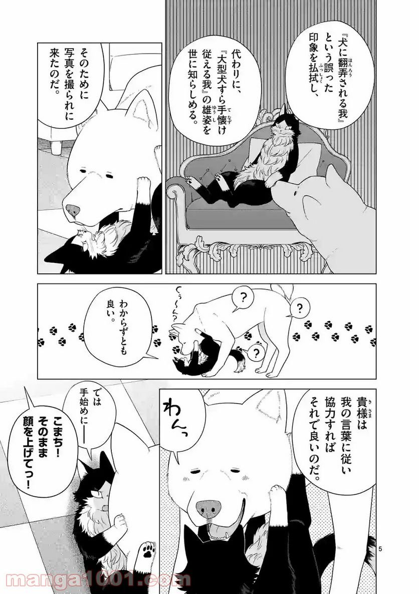 P5