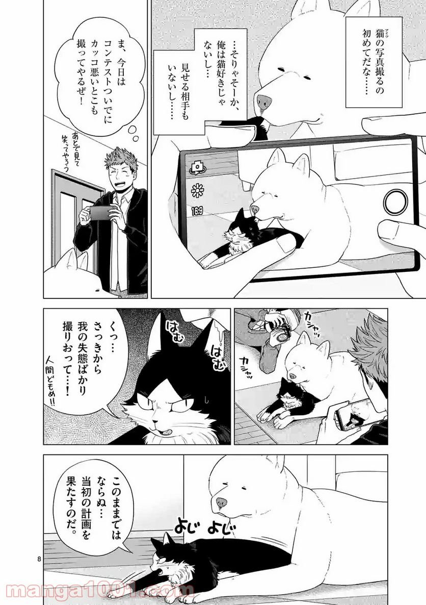P8