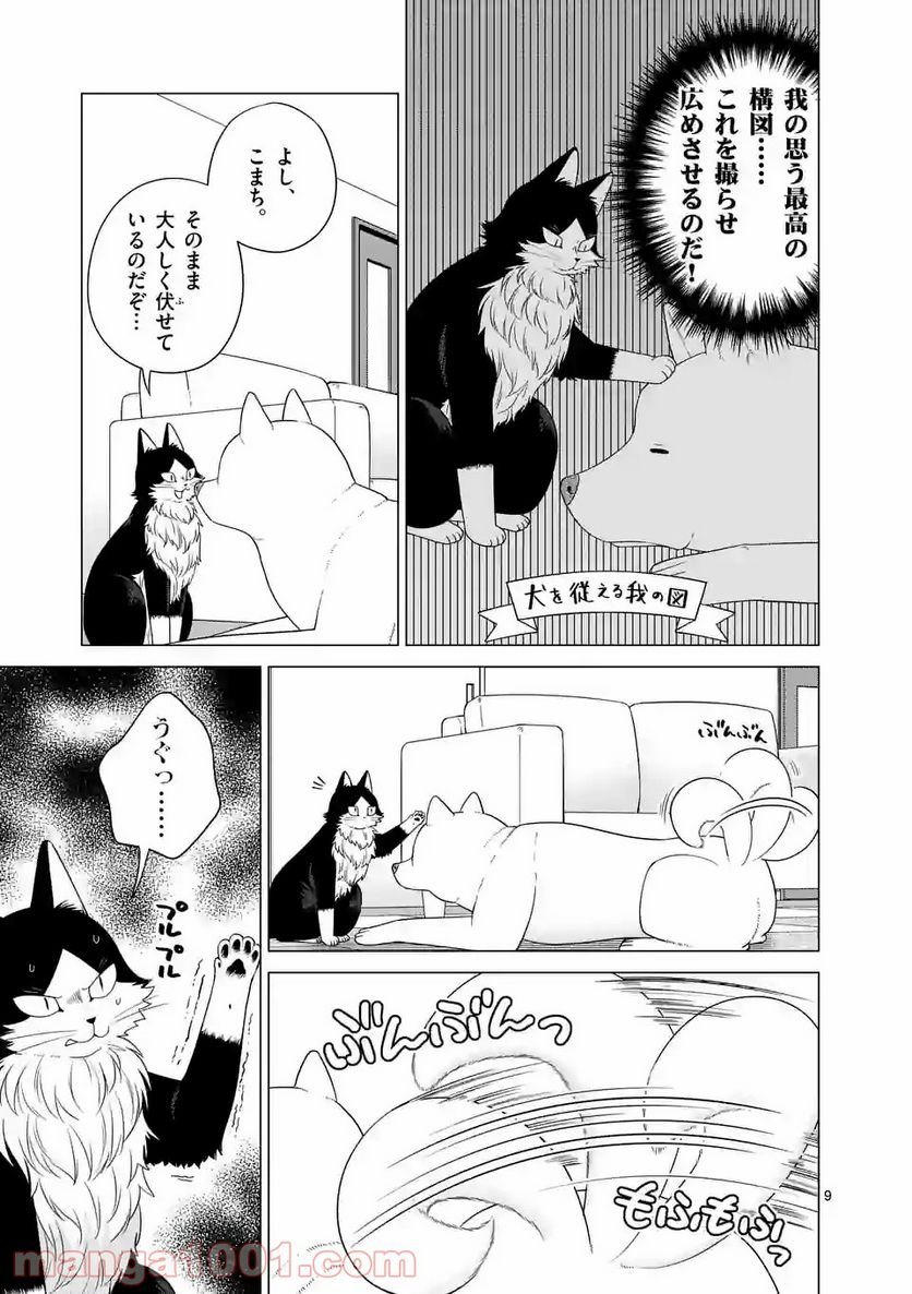 P9