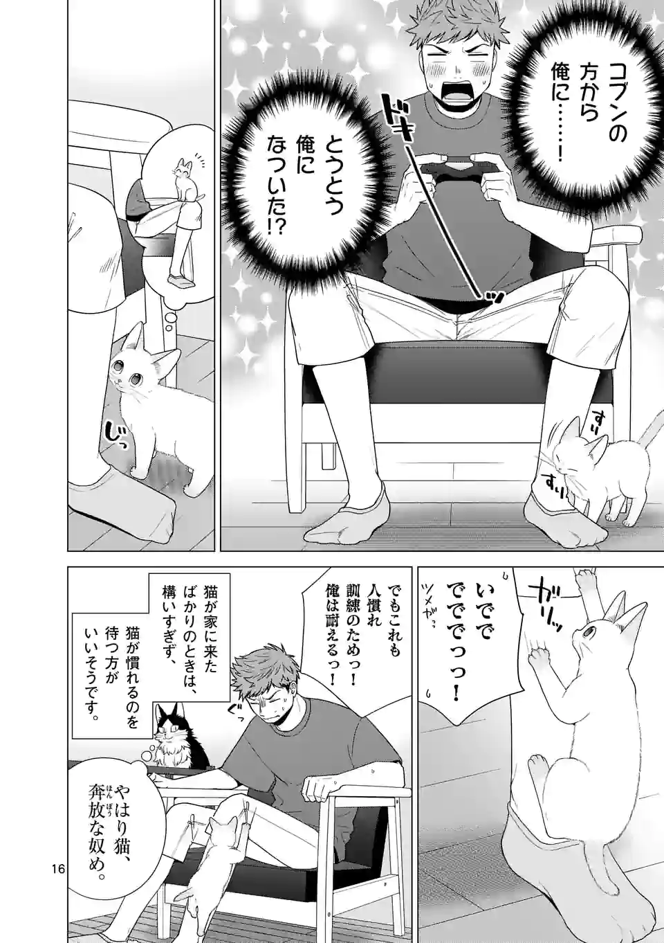 P16