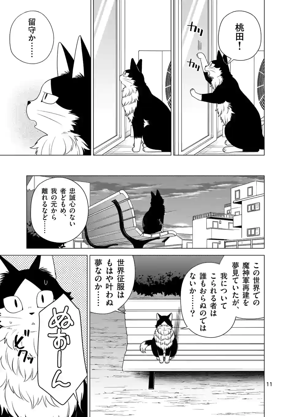 P11