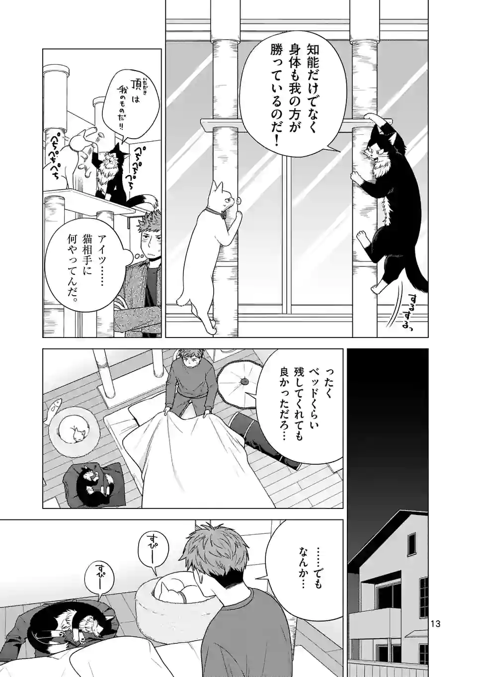 P13