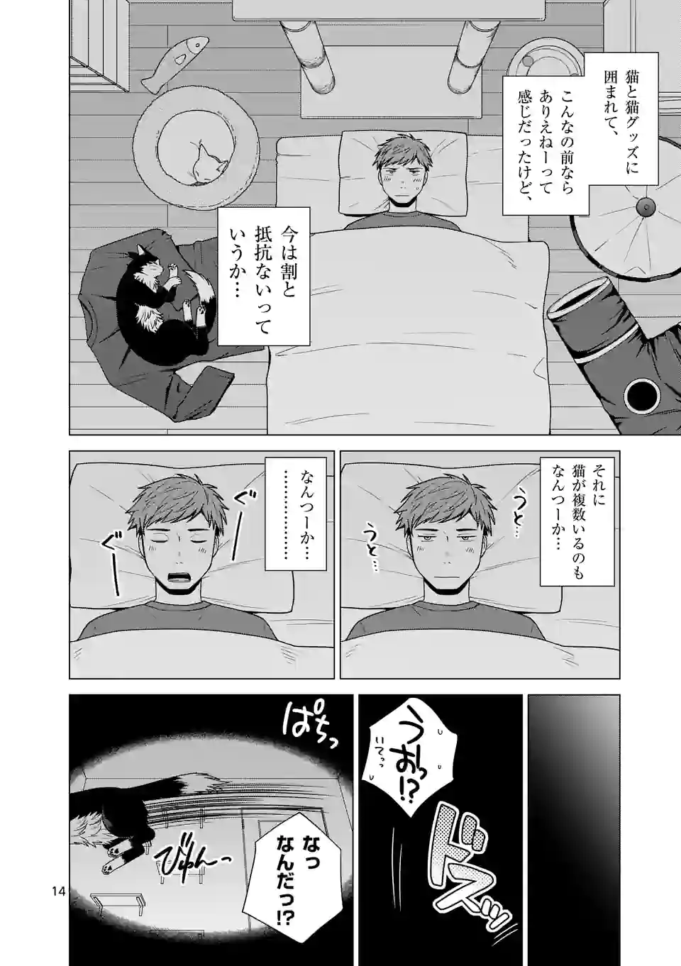 P14