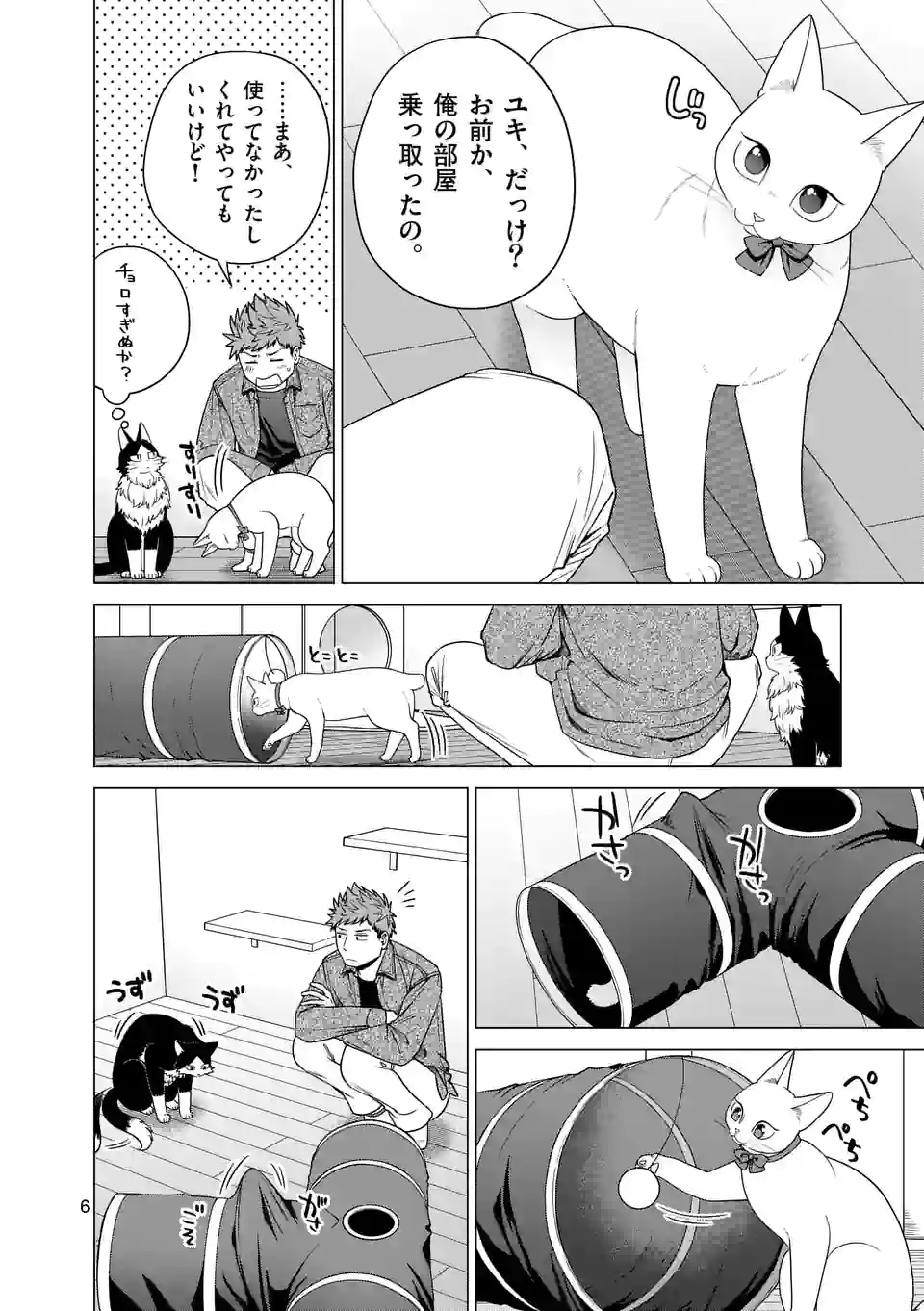 P6