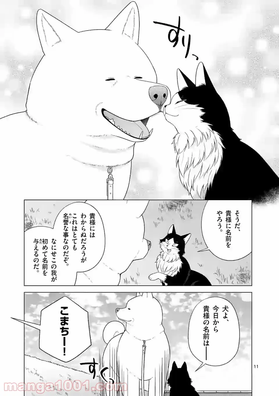 P11