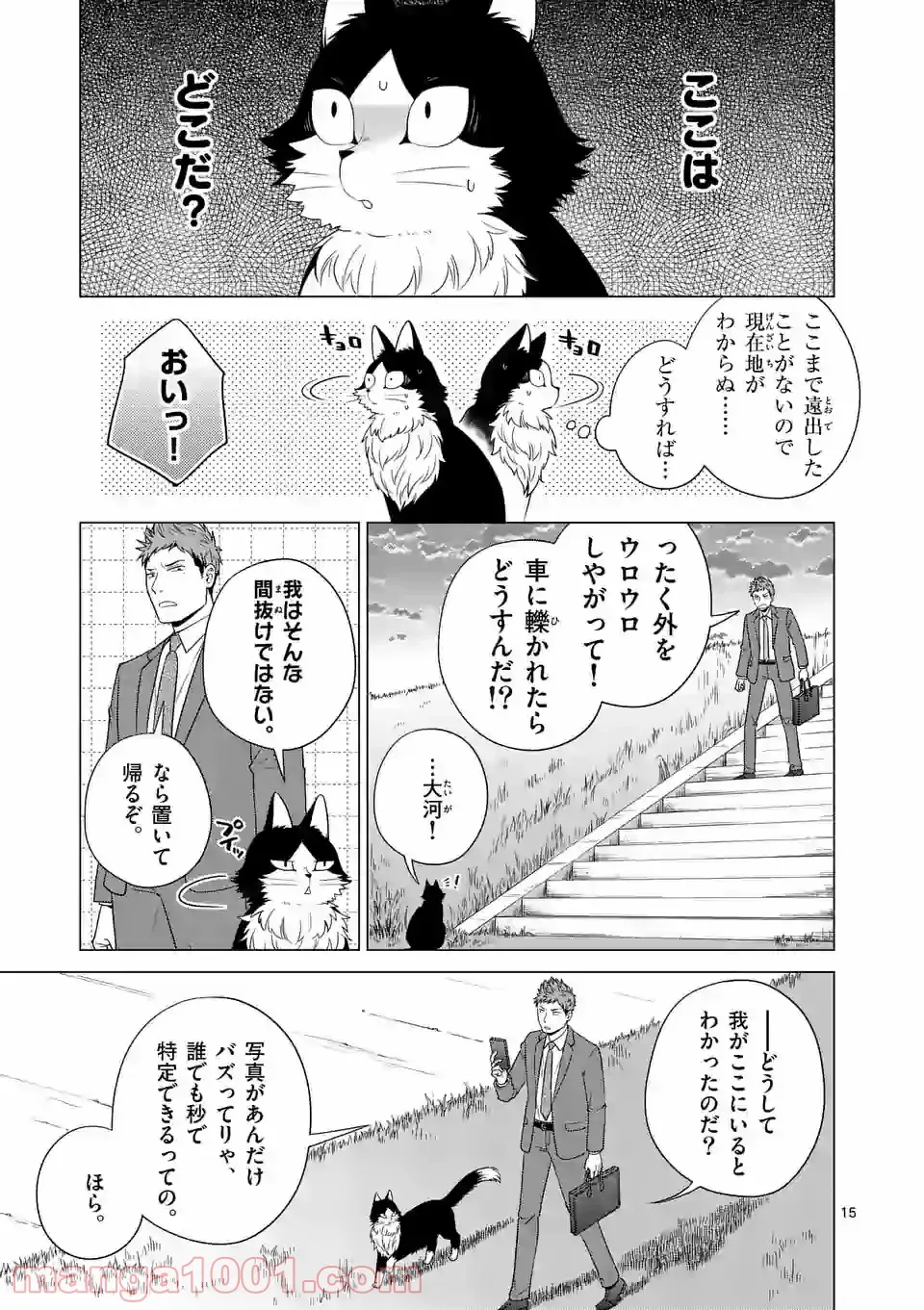 P15