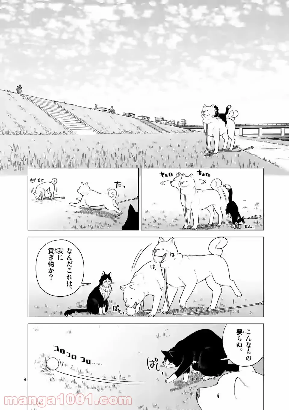 P8