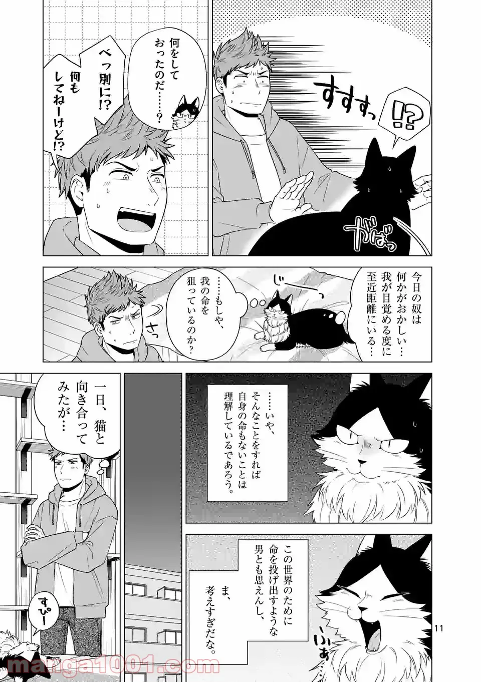 P11