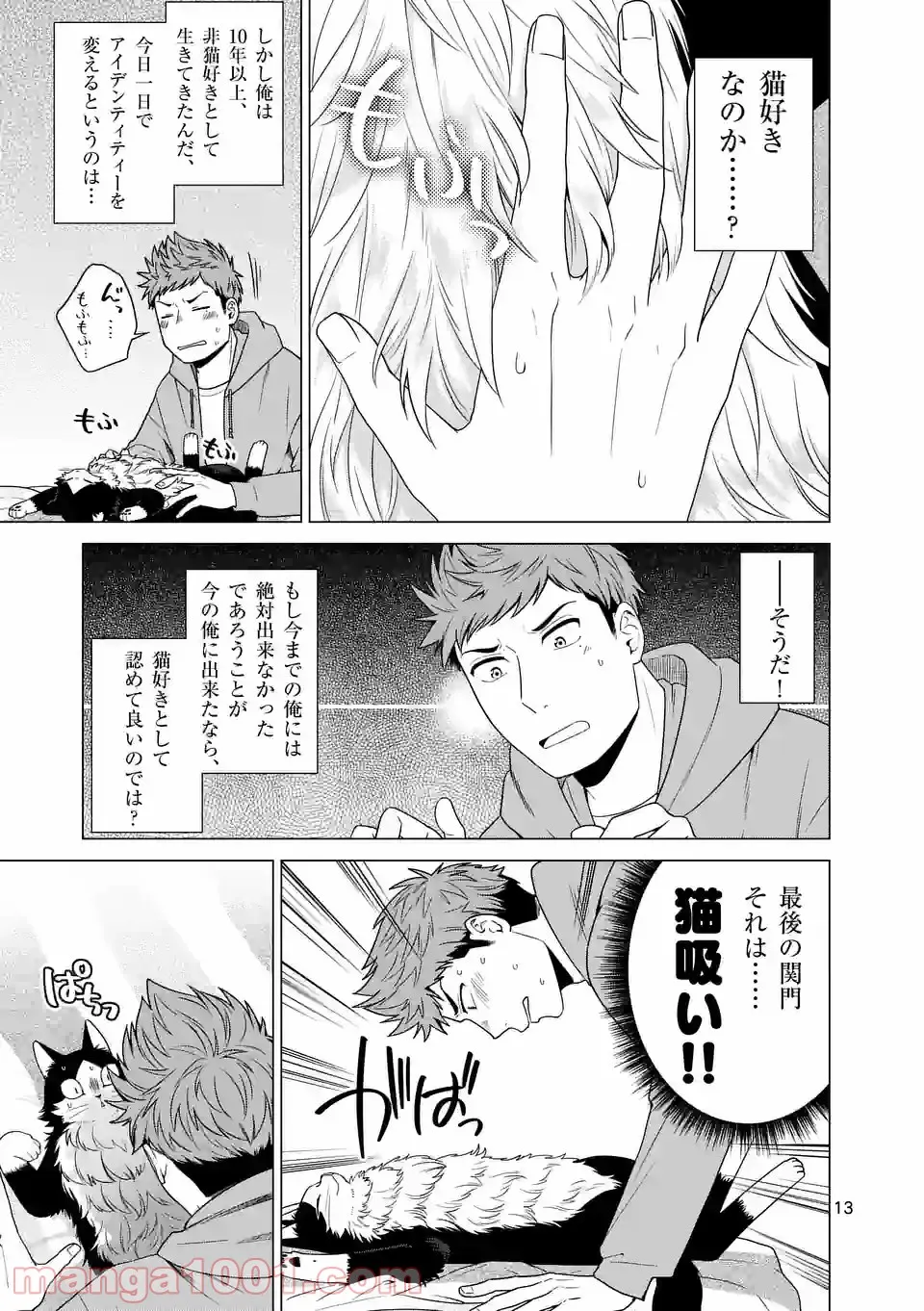 P13