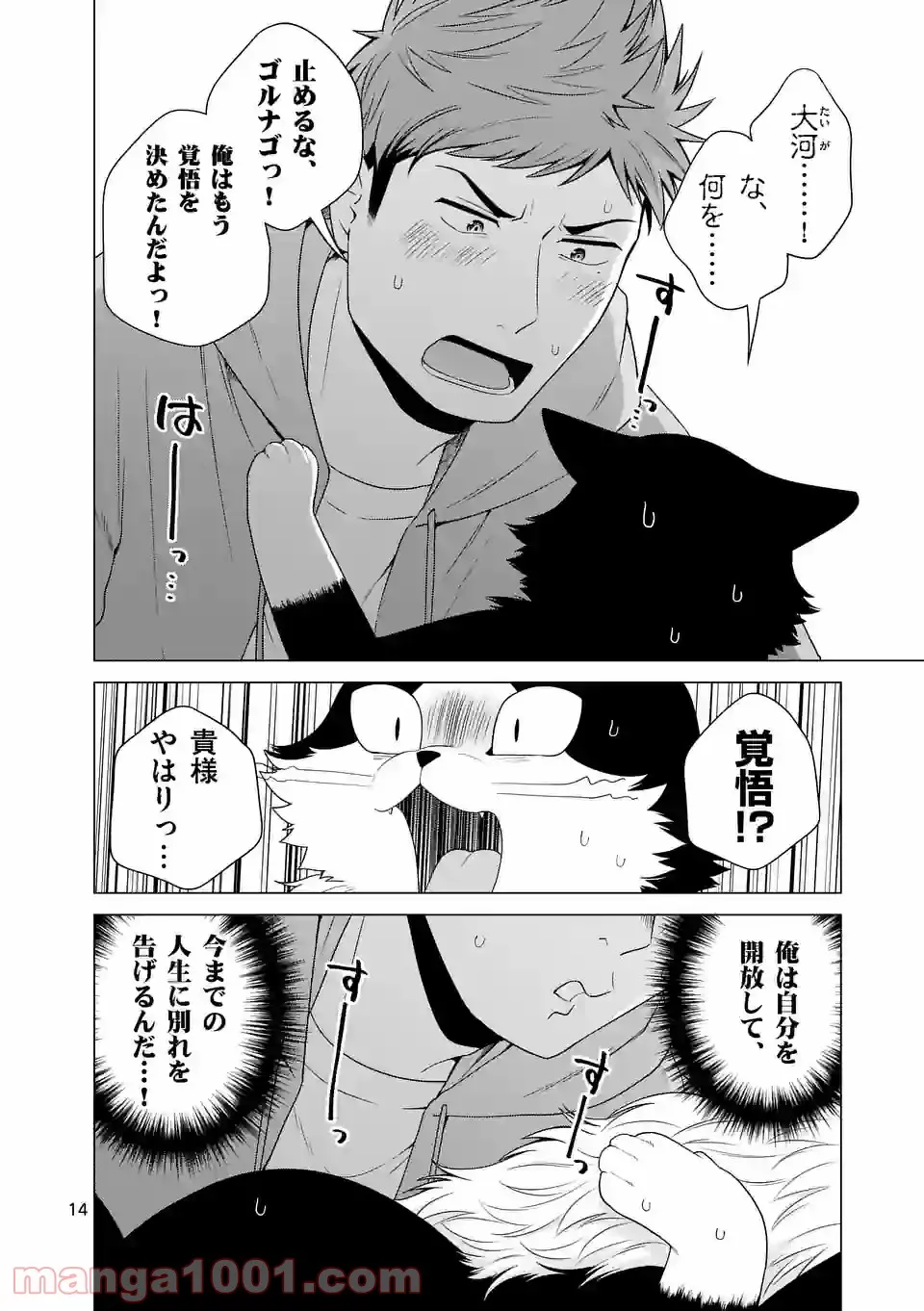 P14