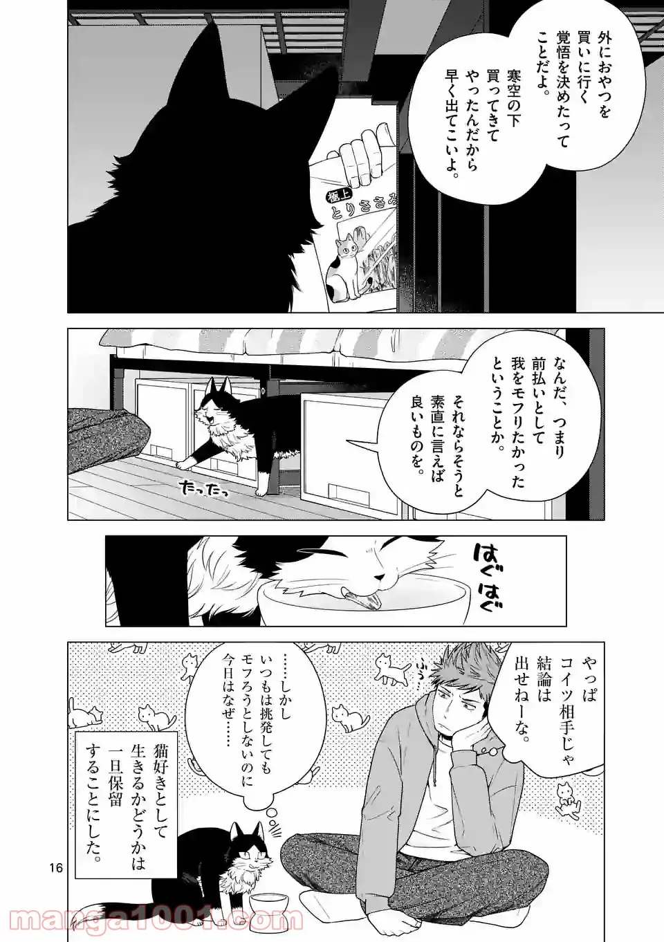 P16