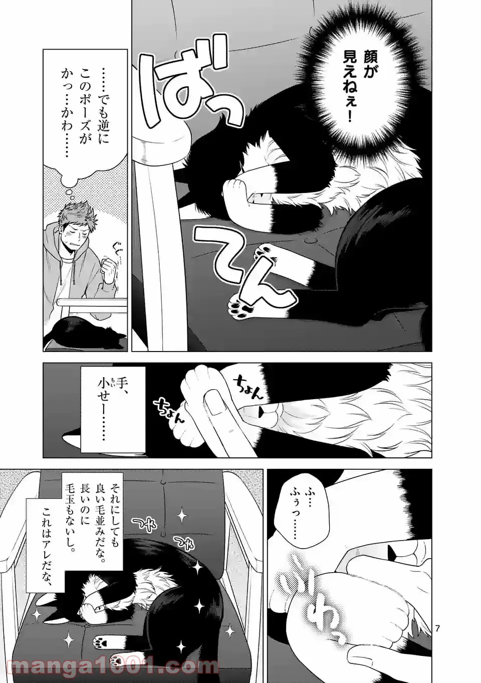 P7