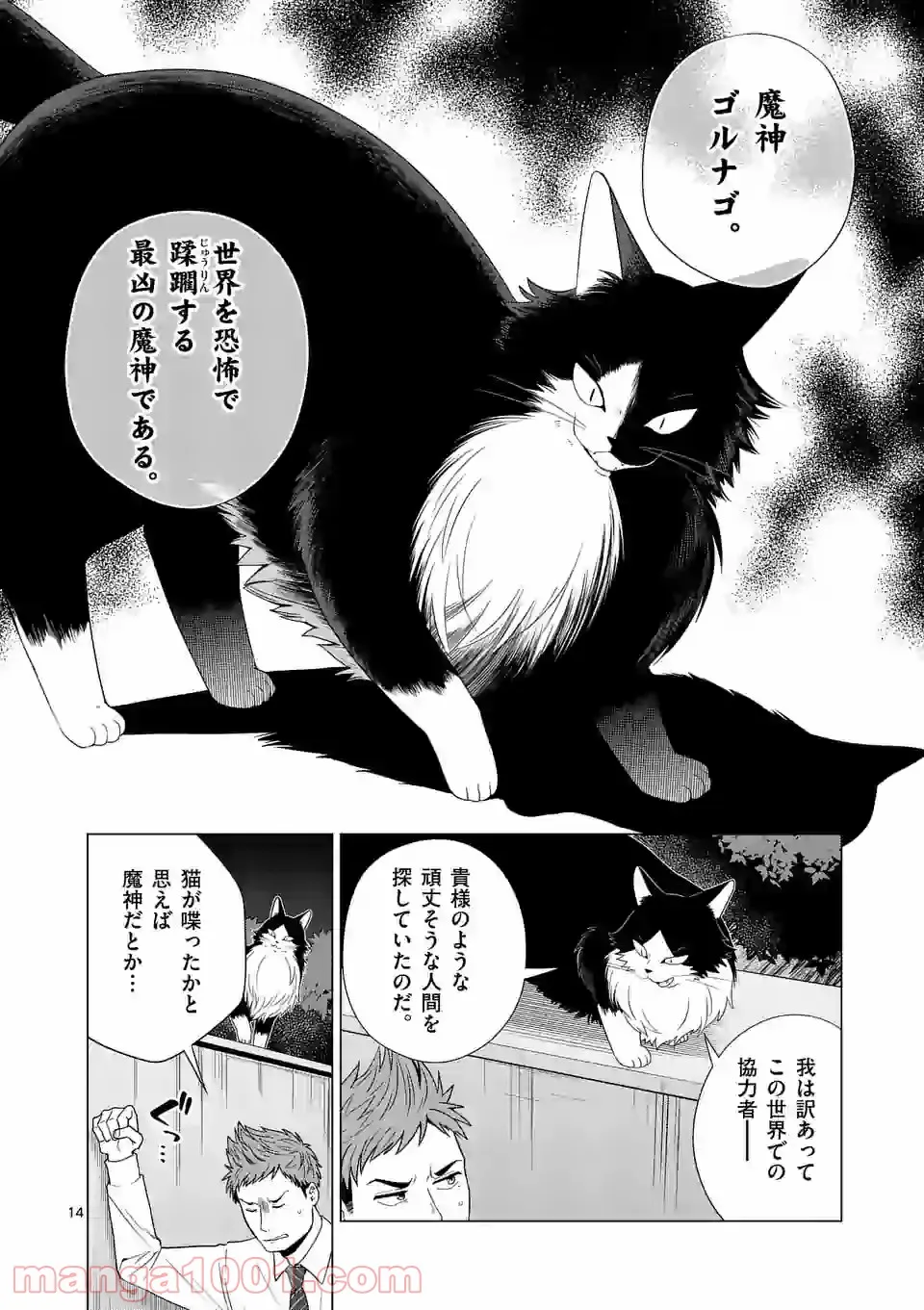 P14