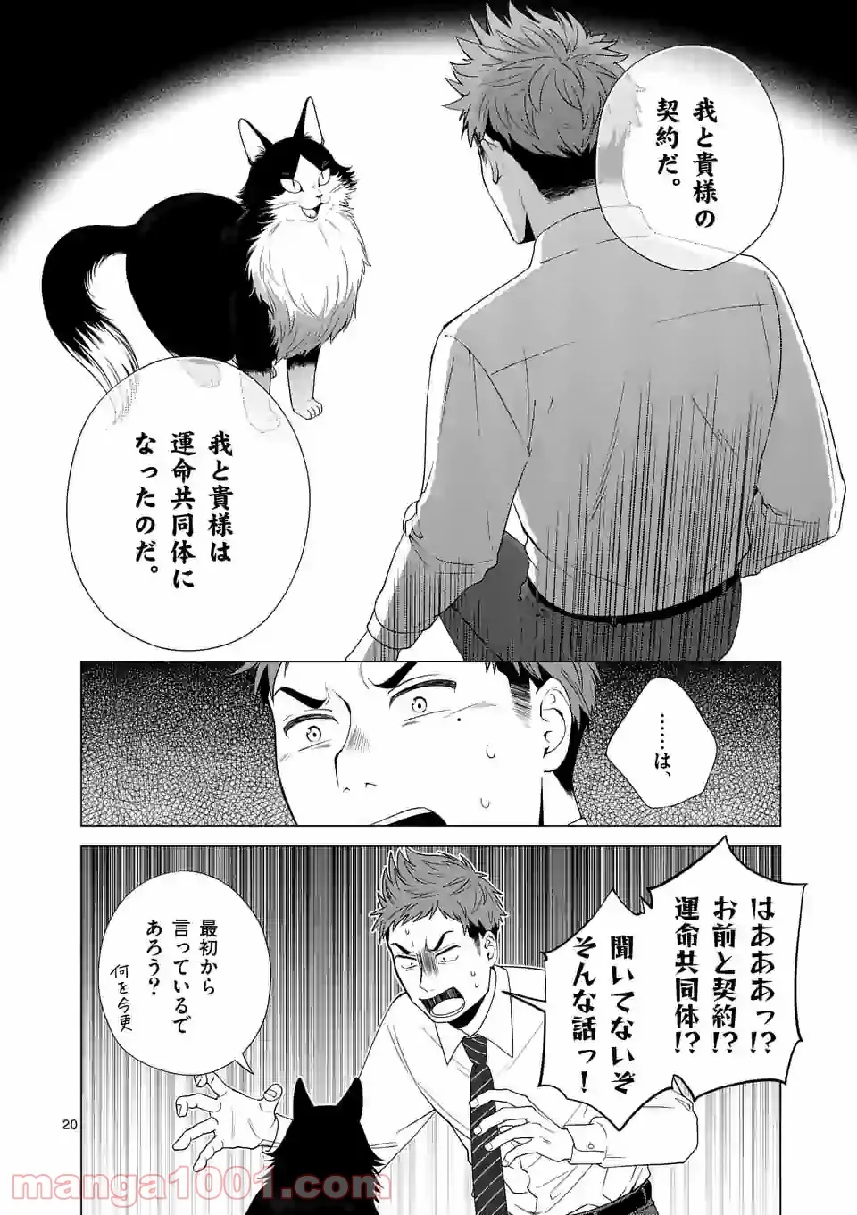 P20