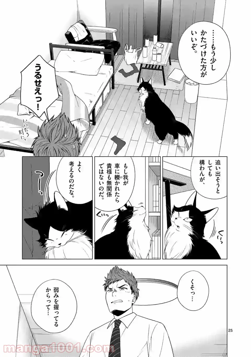 P25