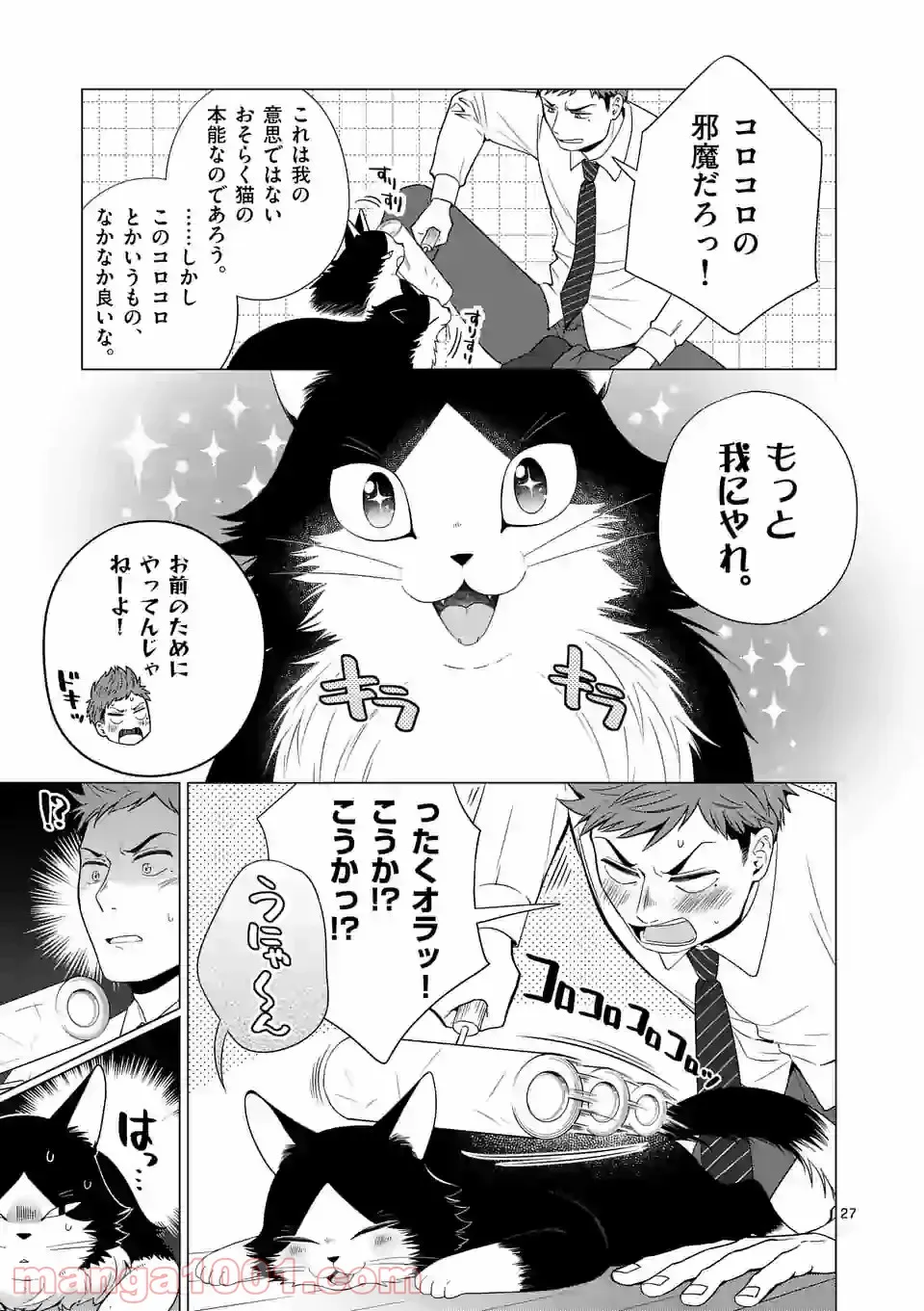 P27
