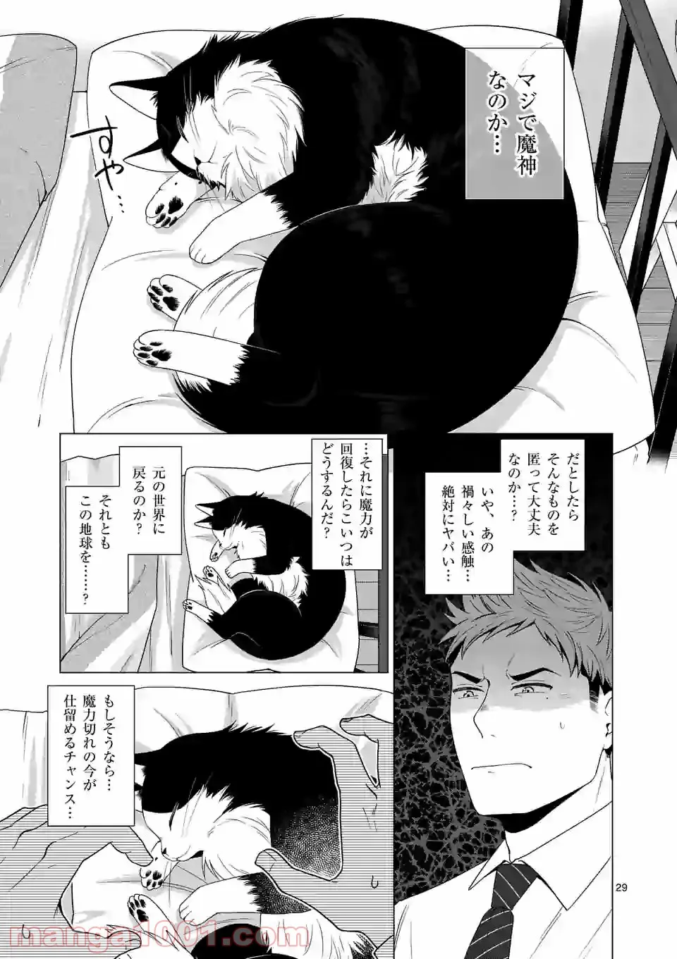 P29