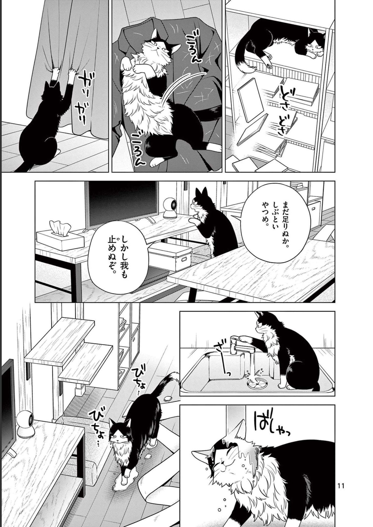 P11