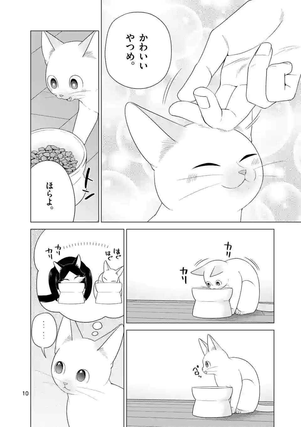 P10