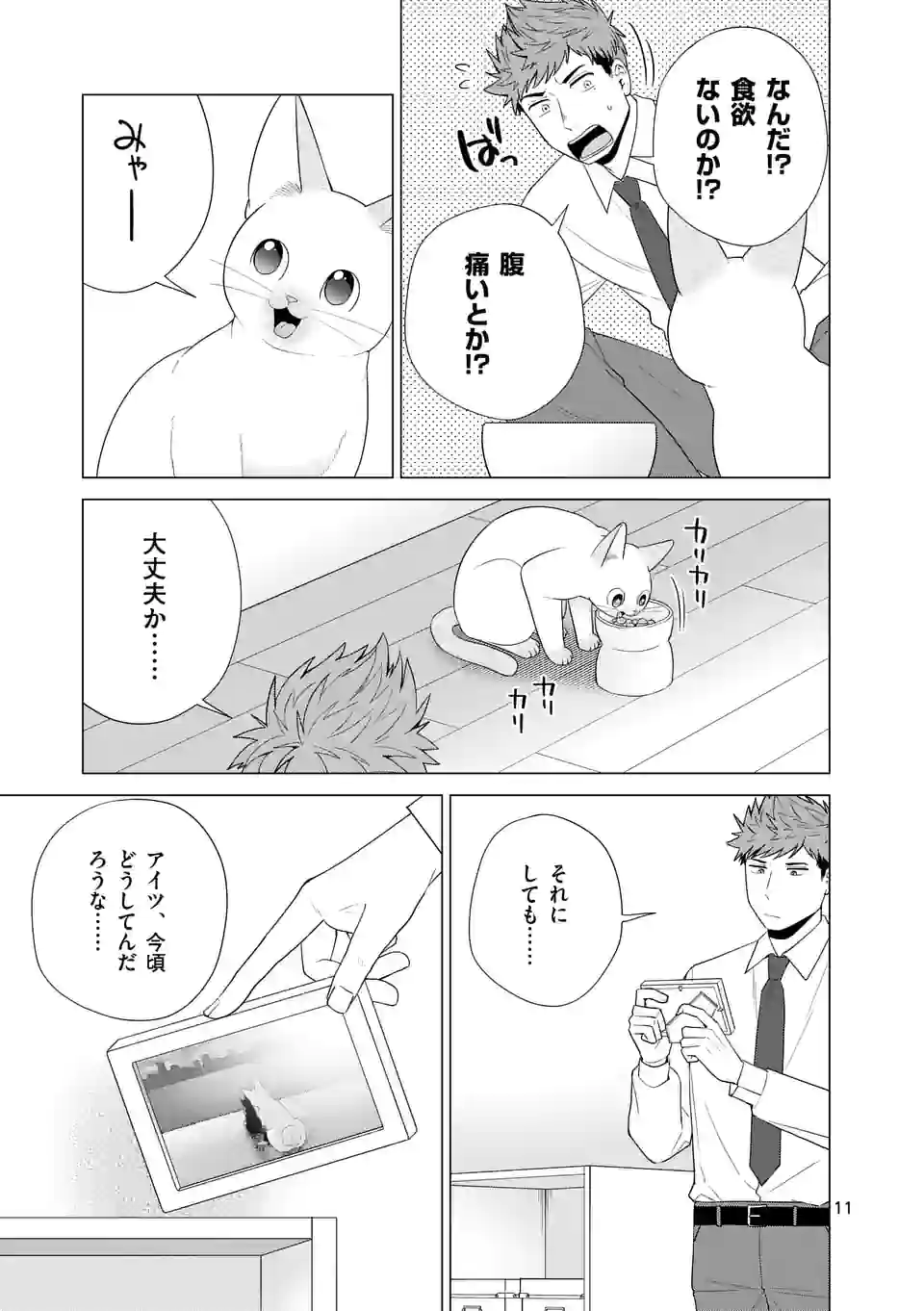 P11