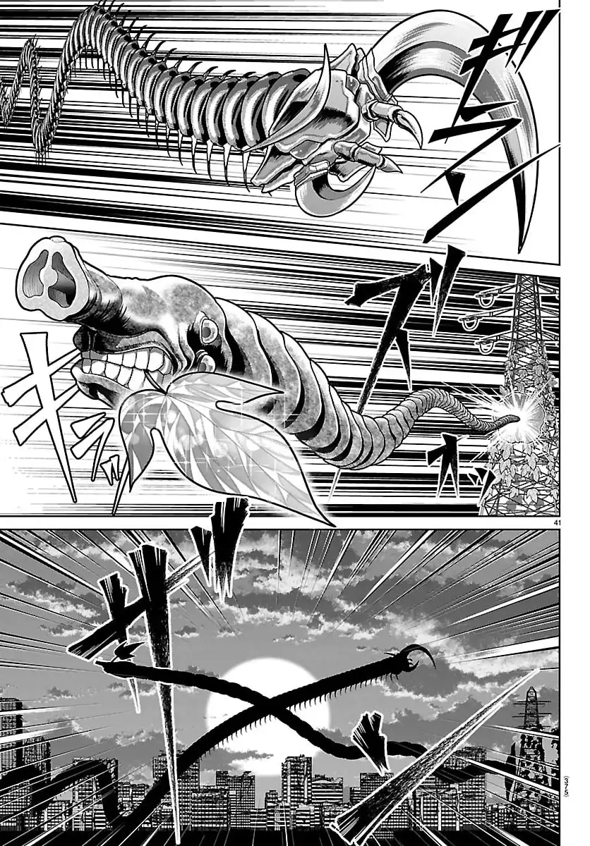 P41